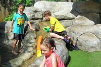 Thomas's Funnel/Noodle Boat